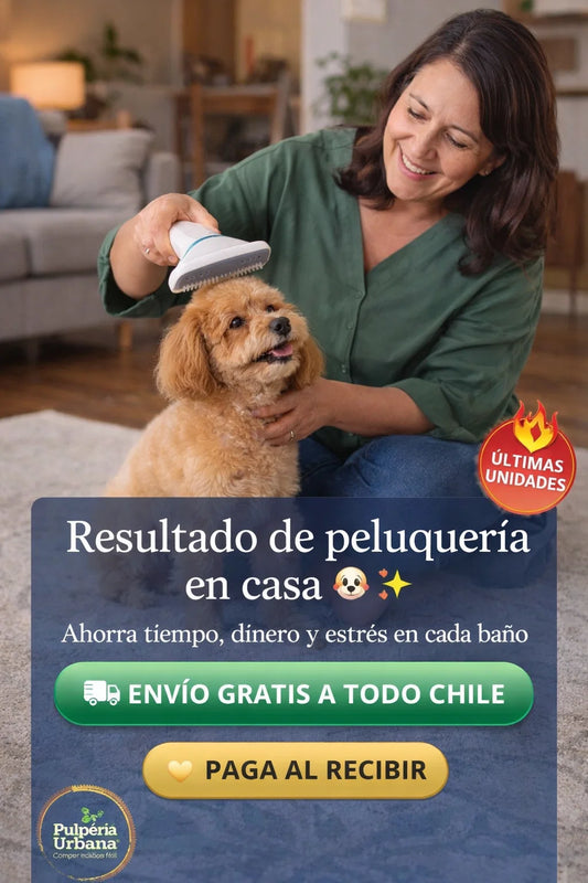 Cepillo Y Secador De Mascotas 2 En 1