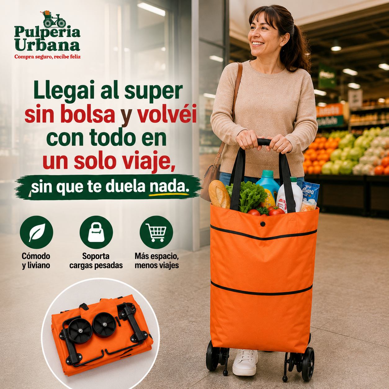 CarguitoMax™ - Tu ayudante para las compras pesadas de invierno