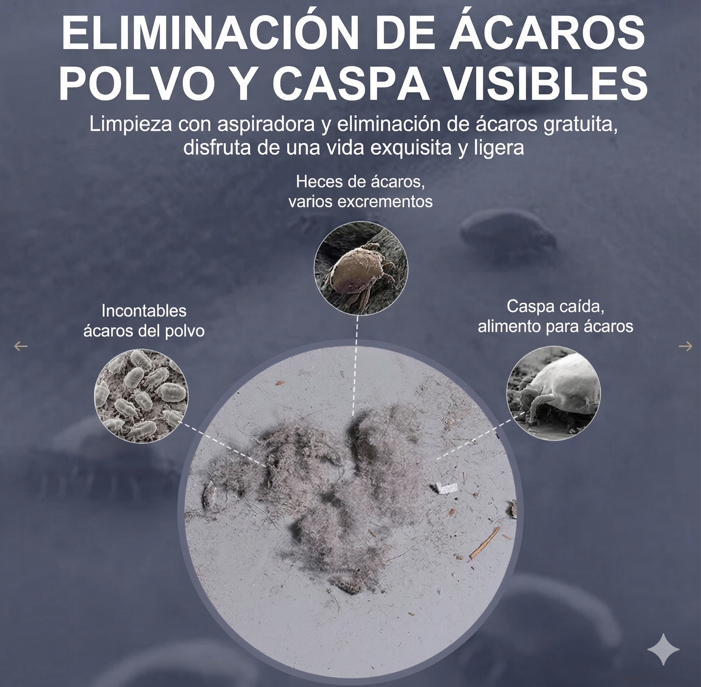 AcaroClean - Elimina ácaros, polvo y bacterias de tu hogar en un solo paso